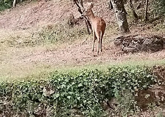 Dom wakacyjny Quercynoise De Charme Piscine Et Vue Sur Vallee Du Lot Balaguier-d'Olt