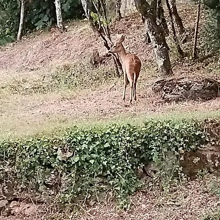 펜션 Quercynoise De Charme Piscine Et Vue Sur Vallee Du Lot Balaguier-d'Olt